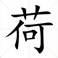 荷意思|荷（汉语汉字）